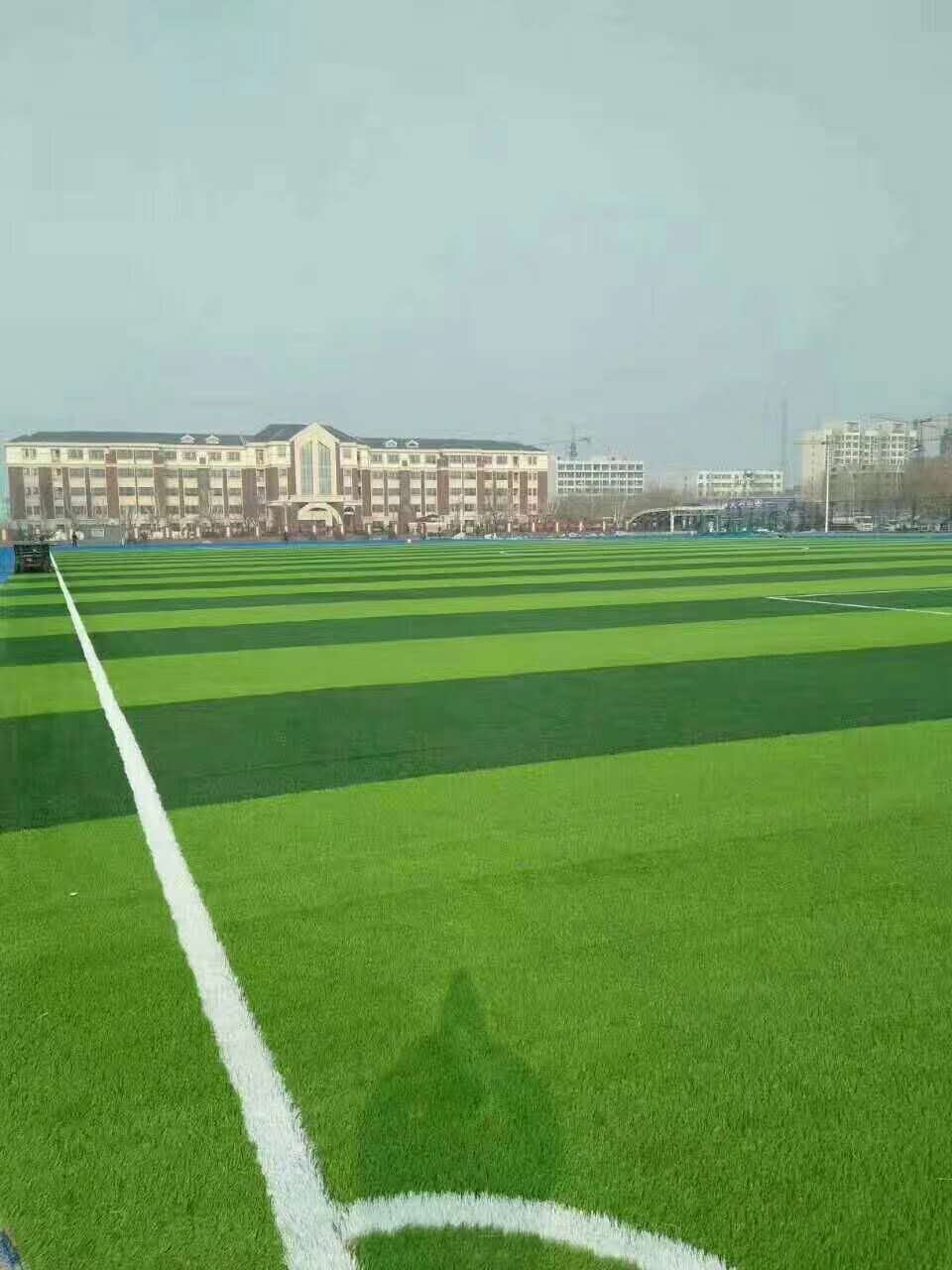青岛市epdm颗粒仿真草坪 - 厂家